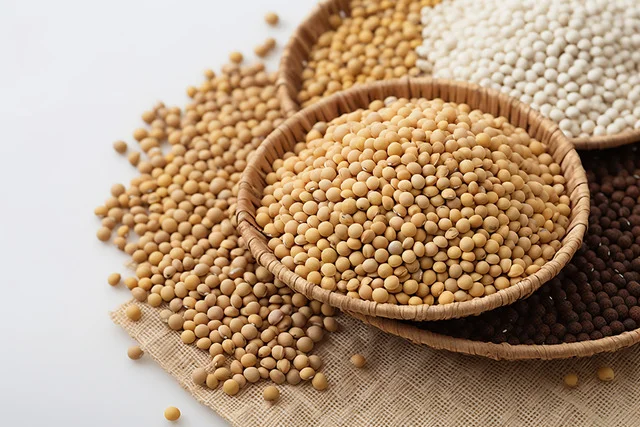 pngtree-oil-seed-soybeans-oil-seeds-kerasua-image_13016022